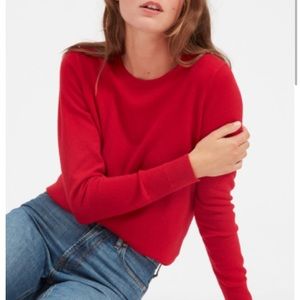 Everlane Cashmere Crew in Ruby